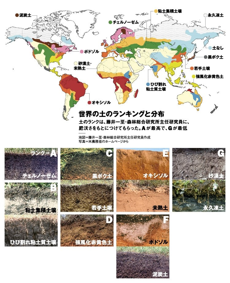 世界の土壌