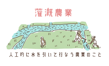 灌漑農業イメージ